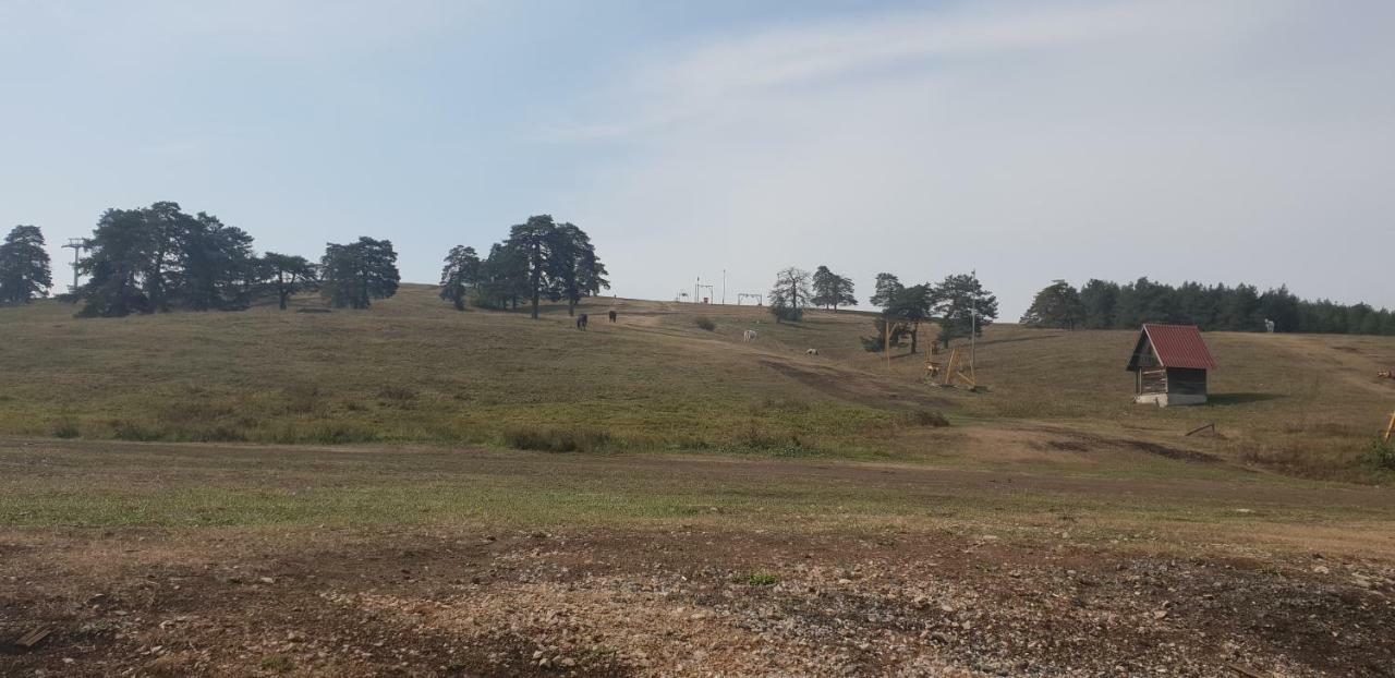 Apartman Konak 23-4 Zlatibor Exteriér fotografie